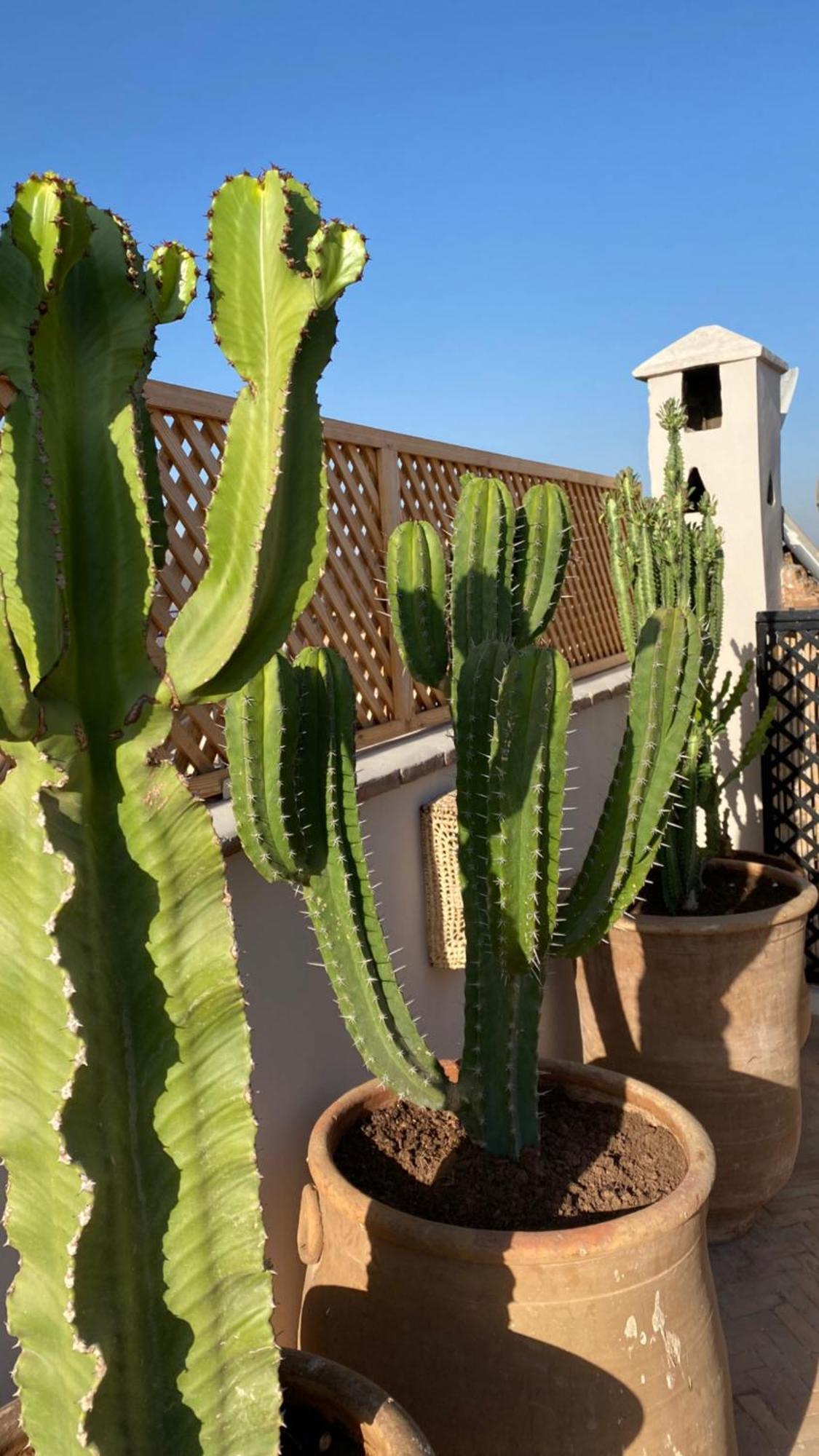 Riad Gasaembre Touareg Marrakesh Bagian luar foto